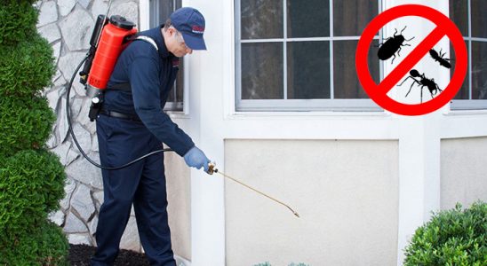 Adaklı Kene İlaçlama böcek ilaçlama ve haşere kontrolü — ilaclama-tr.com